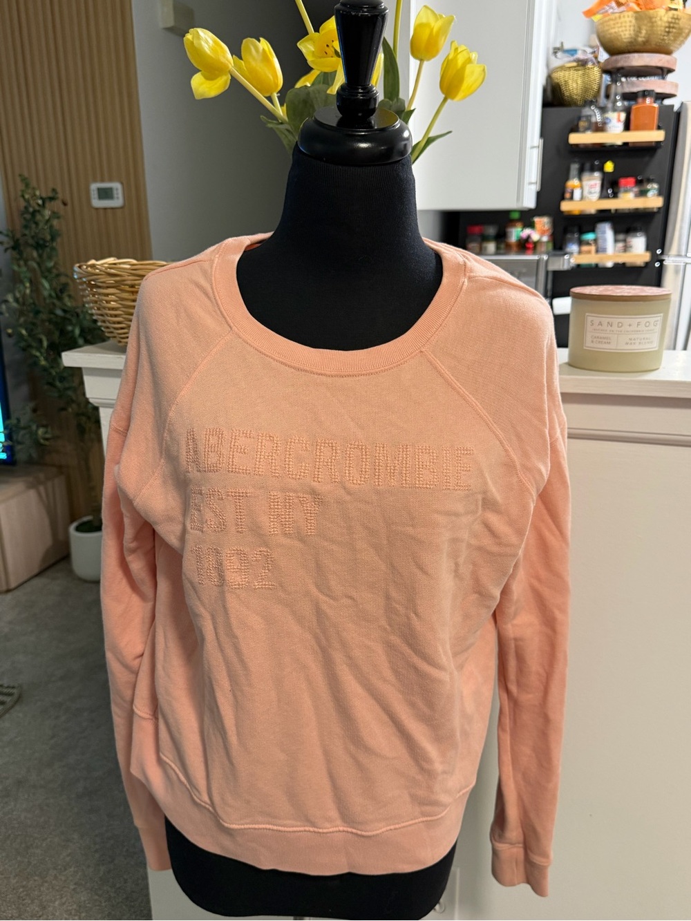 Abercrombie & Fitch Peach Crewneck Sweatshirt - Women's Pullover